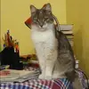 Отзыв от Алевтина Косарева